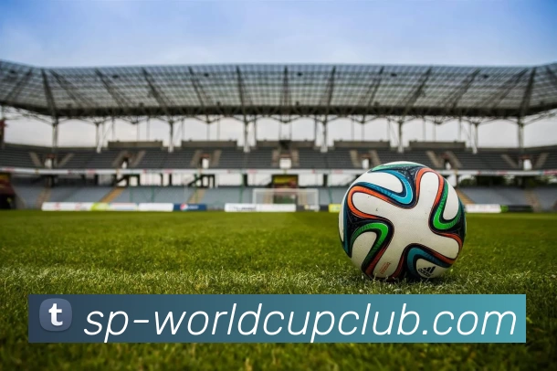 体育赛事信息服务体系